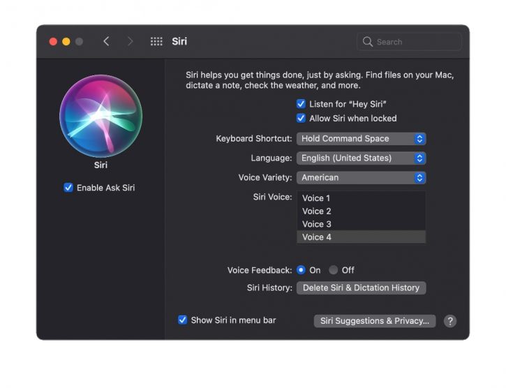 How to Change Siri's Voice iOS 15 2022