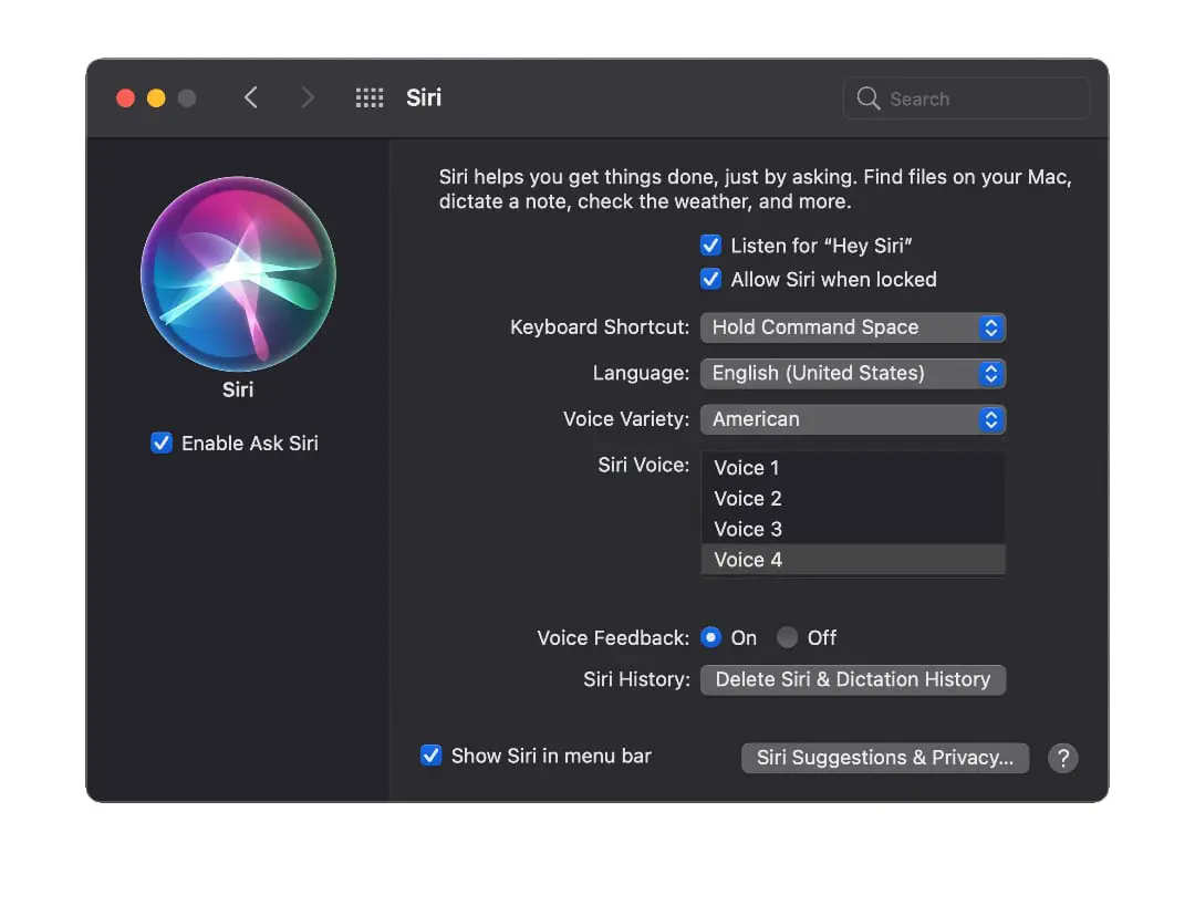 iOS 14.5- How to Change Siri's Voice 3