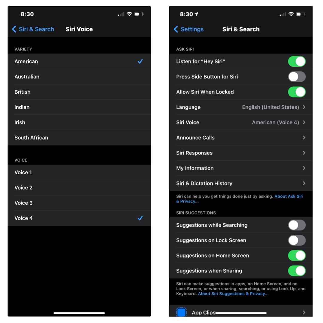 iOS 14.5- How to Change Siri's Voice 3